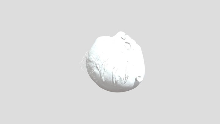 Stewie Griffin Head 4 3D Printing