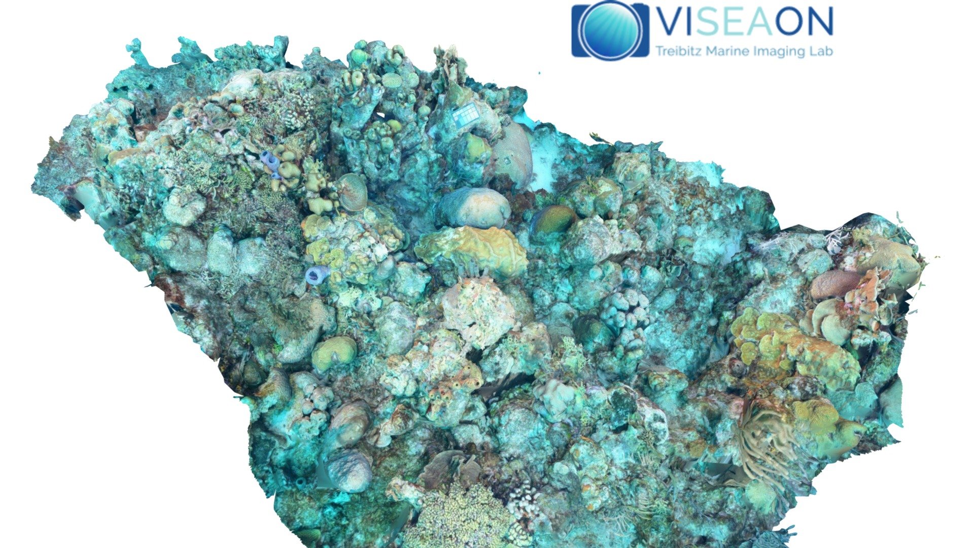 Coral Reef depth 18-12 m, East Side MPA, Curacao - 3D model by VISEAON ...