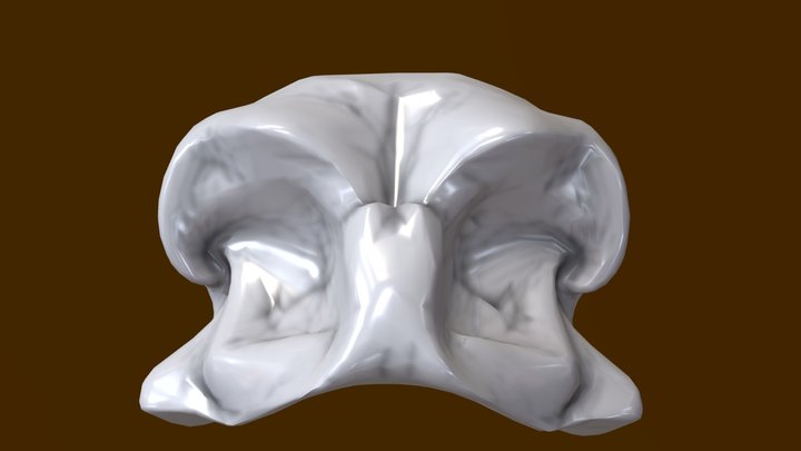 skull2 3D Model