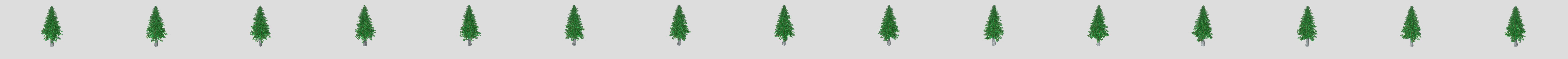 Conifer Tree v2 3D Model