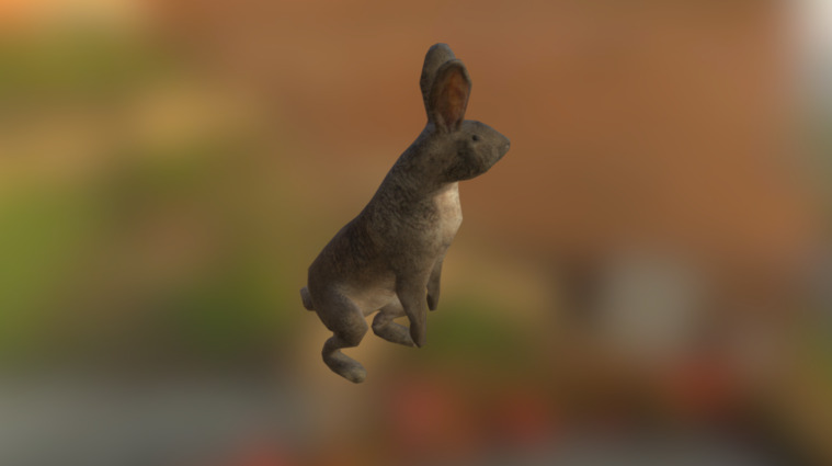 RABBIT - 3D model by louis_fourie [a4f9cd1] - Sketchfab