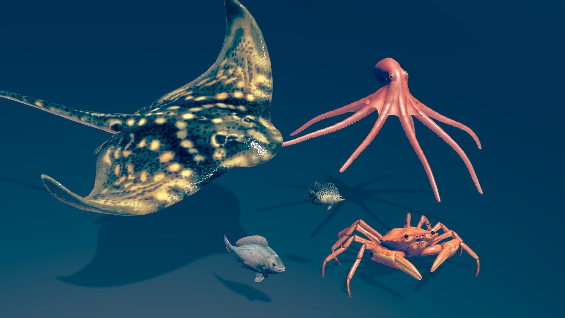 Animated aquatic animals pack - Buy Royalty Free 3D model by Zacxophone