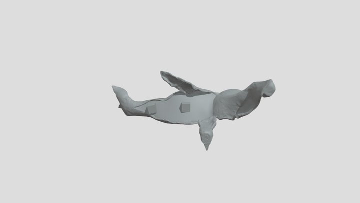 鯨魚3 3D Model