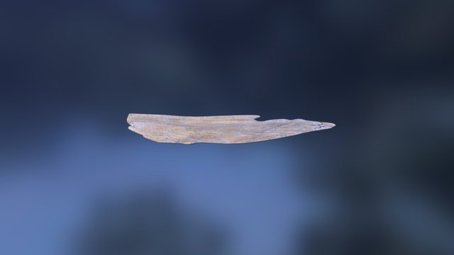 Leedsichthys Bone X1 3D Model