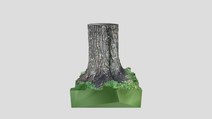 Scan 2022-04-15T13:40:06.326Z 3D Model