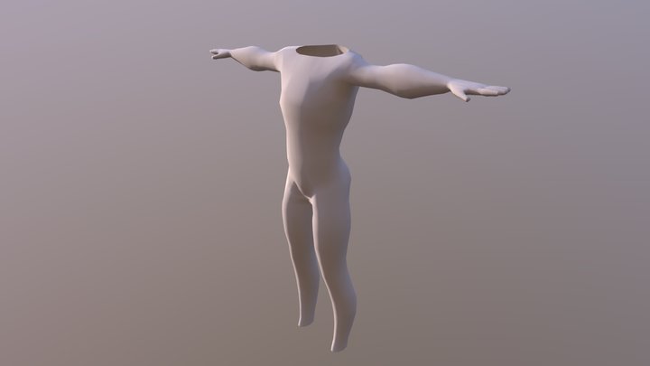 Cuerpo humano 3D Model