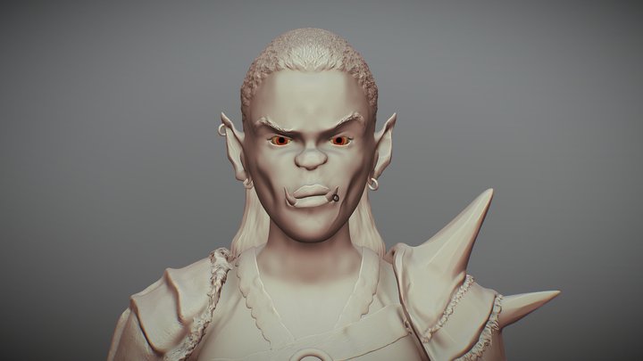 Orca Guerrera 3D Model