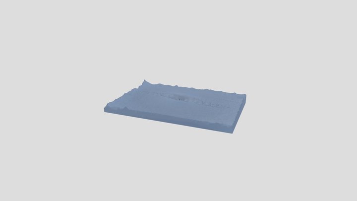 Dog footprint 3D Model