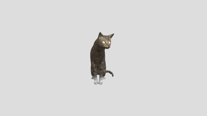 Cat 3D Model