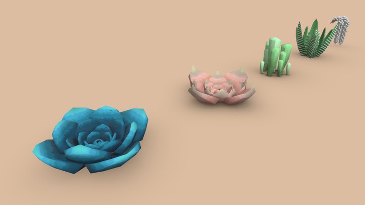 Stylized succulent plants 3D Model