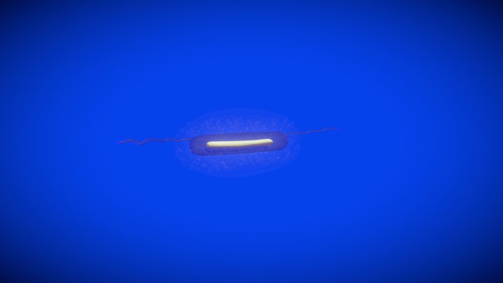 enterobacteria 3D Model