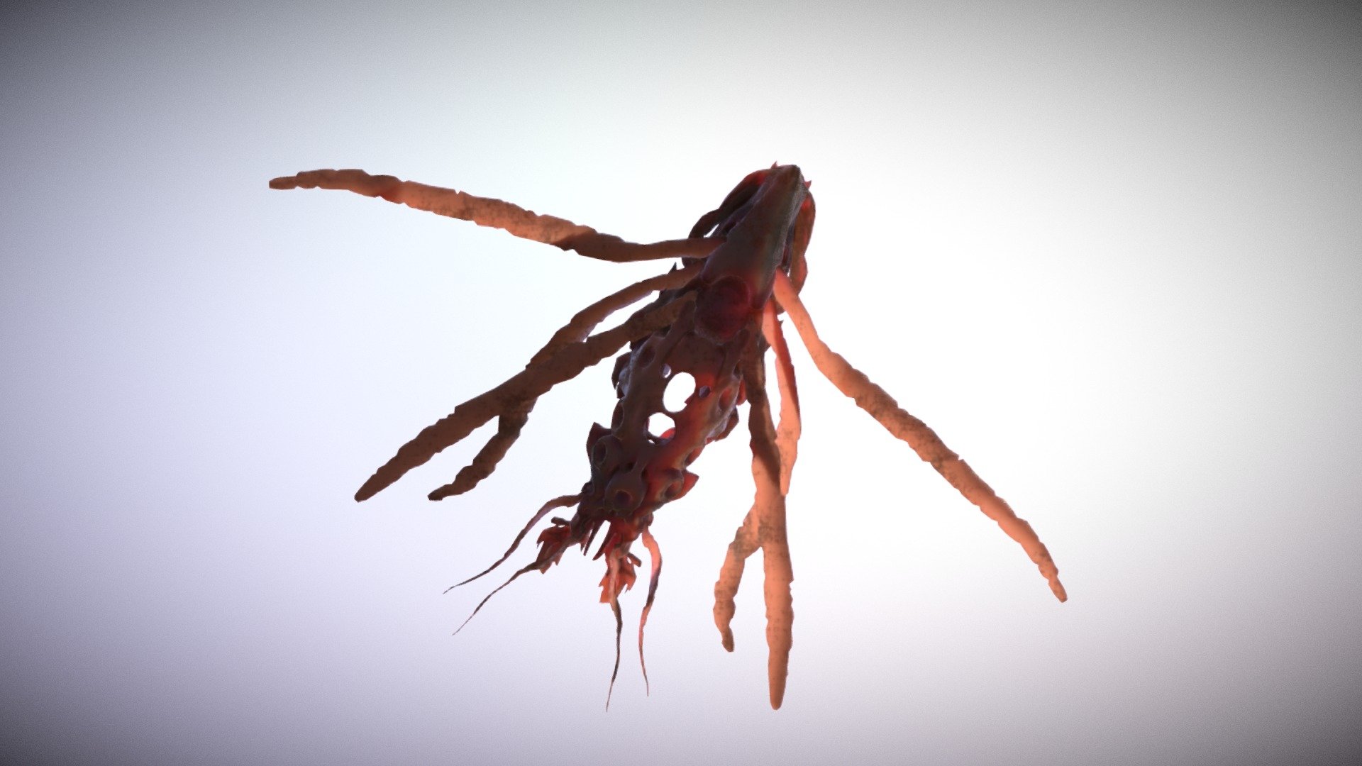 Fly - 3D model by egor69ok [a505c37] - Sketchfab