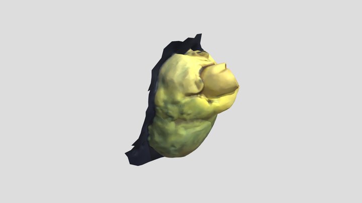 Heart 00 3D Model