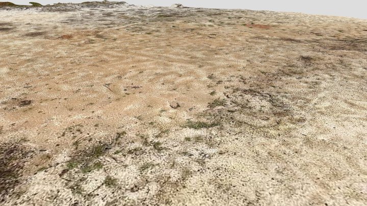 Sand Court-poly 3D Model