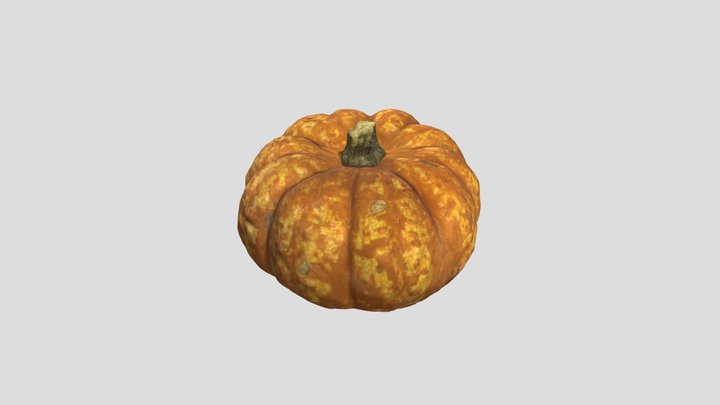 A Small Orange Pumpkin With Patches一个带斑块的小橙色南瓜 – Kostenloses 3D-Modell STL