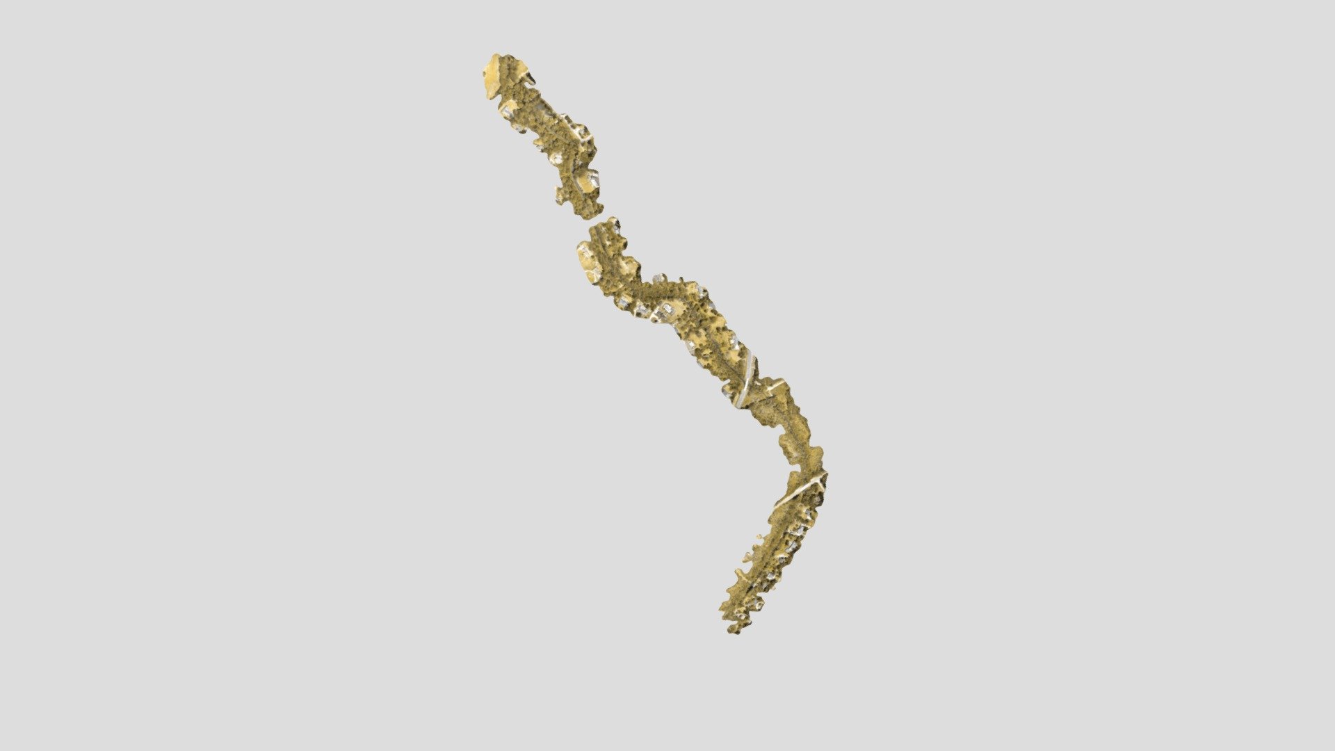 French Branch