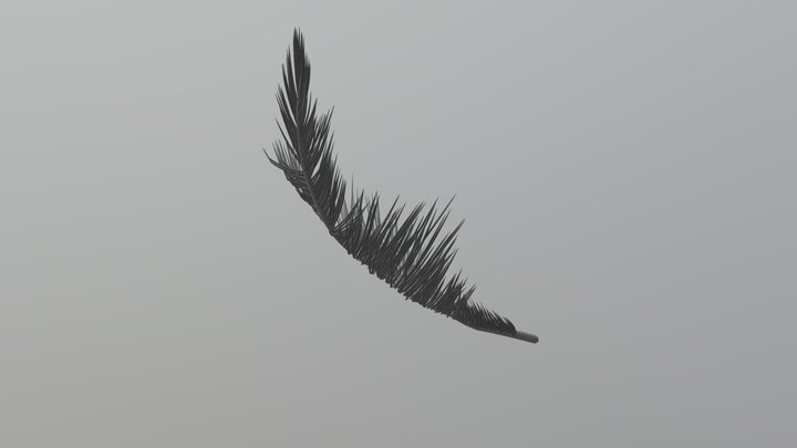 Feather Test 02 3D Model