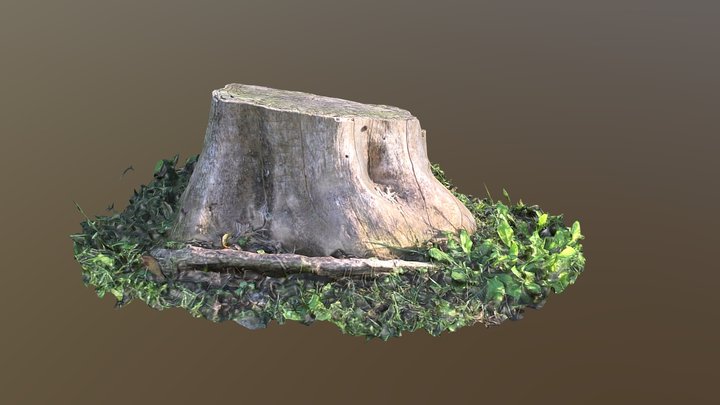 tree trunk September 3D Model