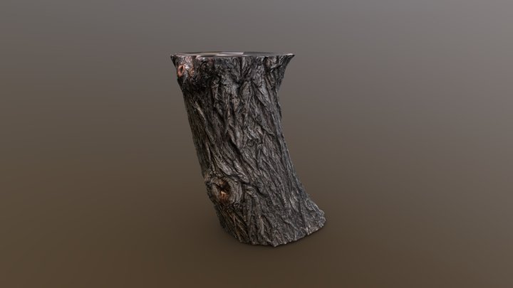 Salix Babylonica - Photogrammetry Scan – Modèle 3D gratuit STL