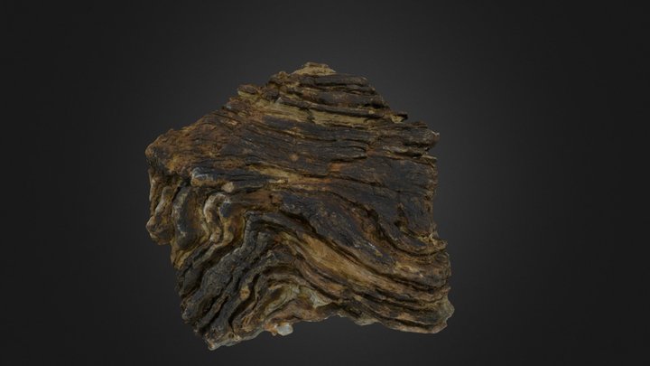 Stromatolite 3D Model