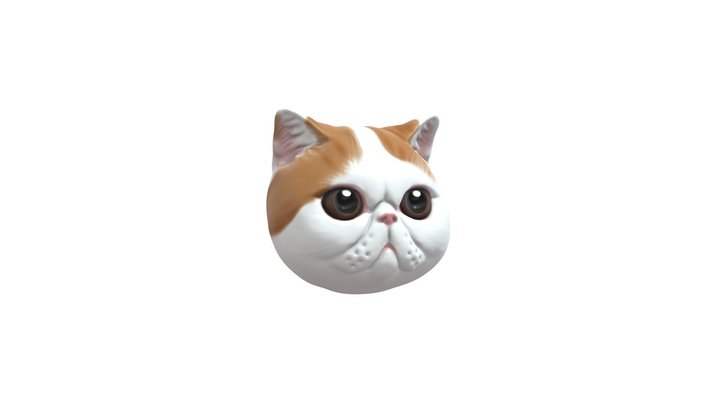 Exotic Short Hair Cat pet model jewellery 3D Model