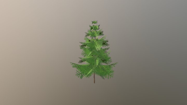 Tree 01 3D Model