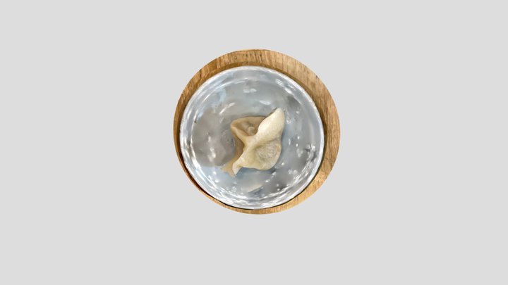 中國菜　大鵬 3D Model