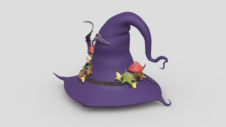 Witch Hat Lo Res 3D Model