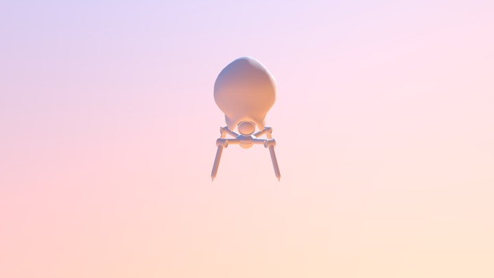 Cockroach 3D Model