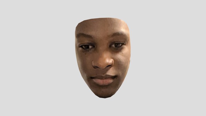 face 3D Model