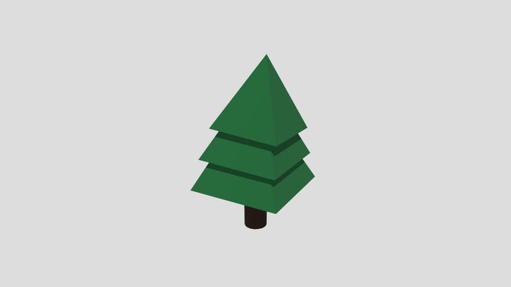 Evergreen Tree 3D Model