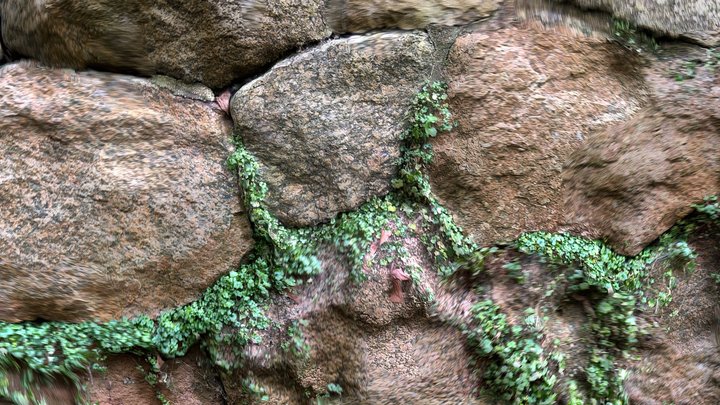 Wall