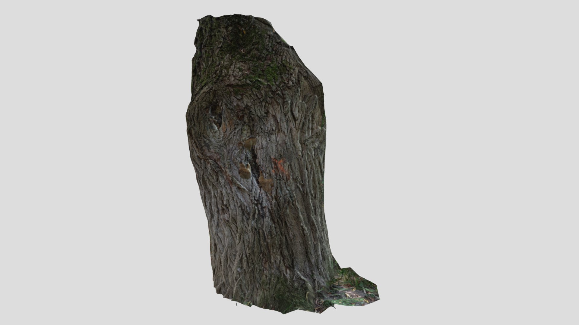 Nature_ Tree-fragments_01_ Koszalin - 3D model by takac.ondrej [a524dd7 ...