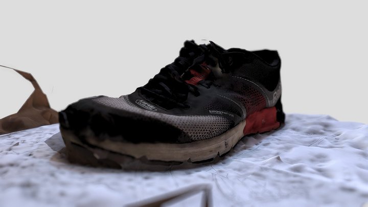 old shoe scaning 3D Model