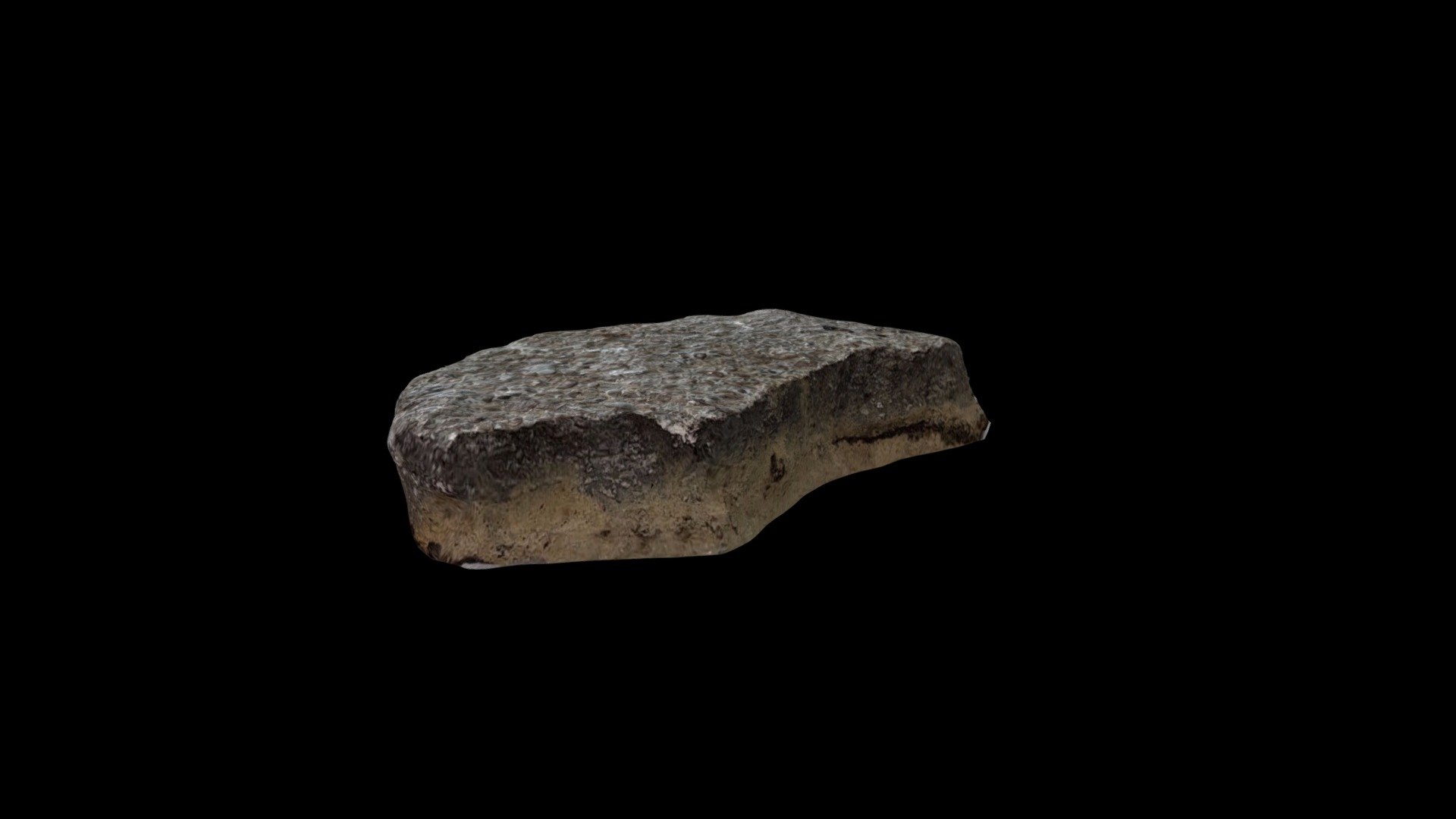 Fossiliferous Limestone Example 1