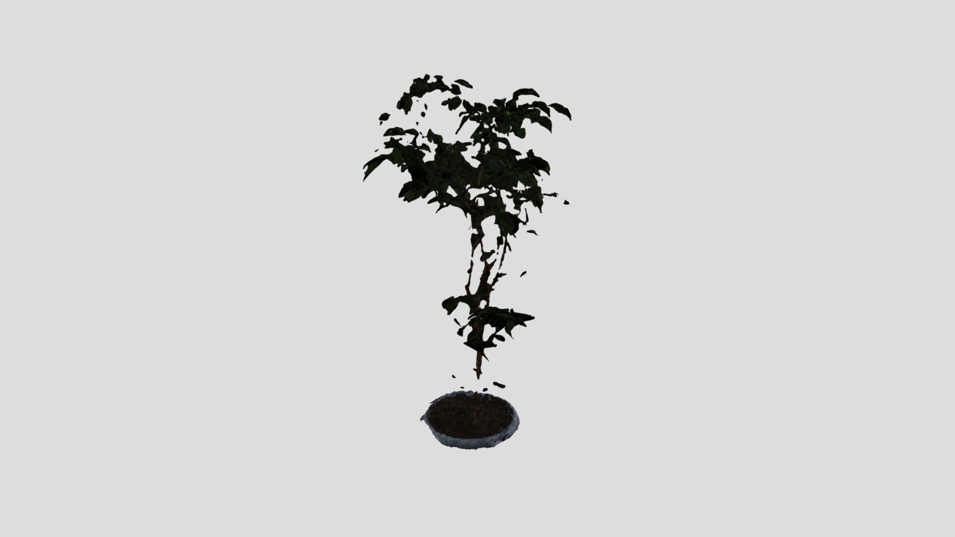 MESHROOM_PLANT_PROCESSED_FAILED