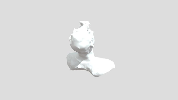 STL bust 3D Model