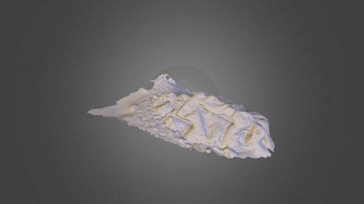 Papago Model from 123Dcatch 3D Model