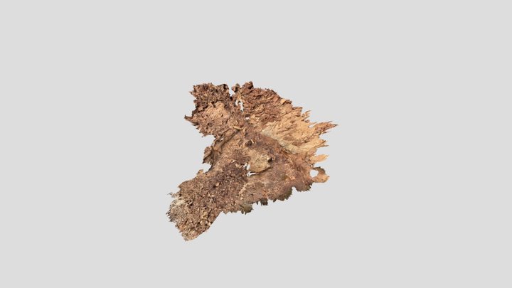 Klein Gayas dyke 3D Model