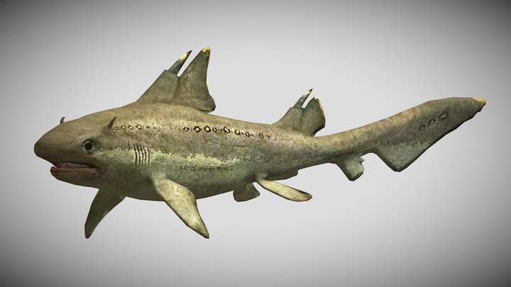 Egertonodus fraasi (Hybodus fraasi) – Kostenloses 3D-Modell STL