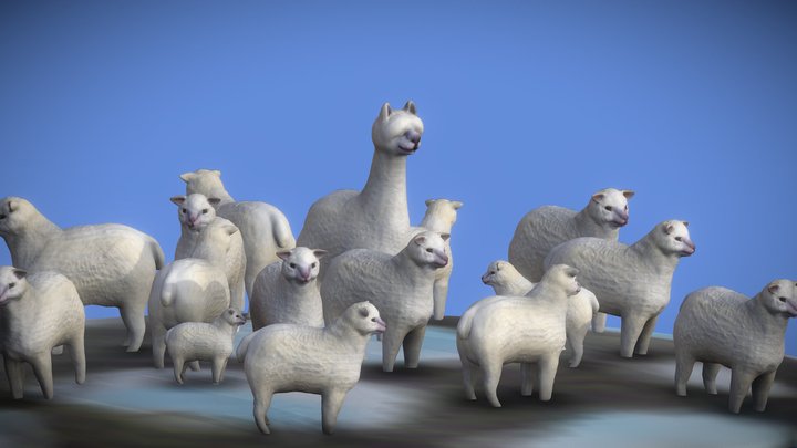 Tall Sheep 3D Model