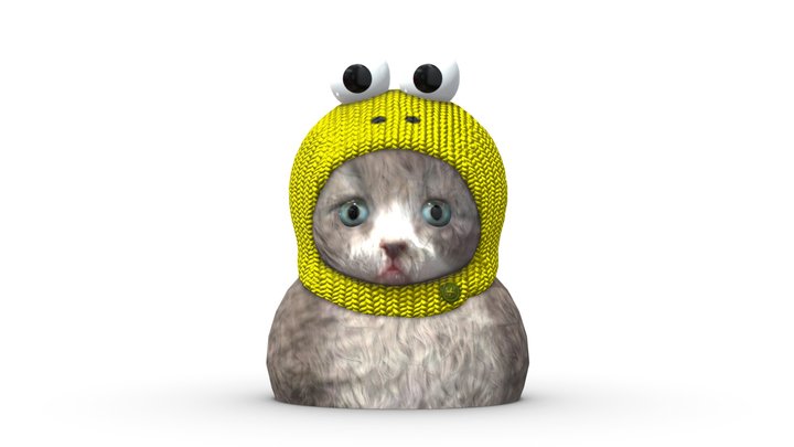 Cat in hat