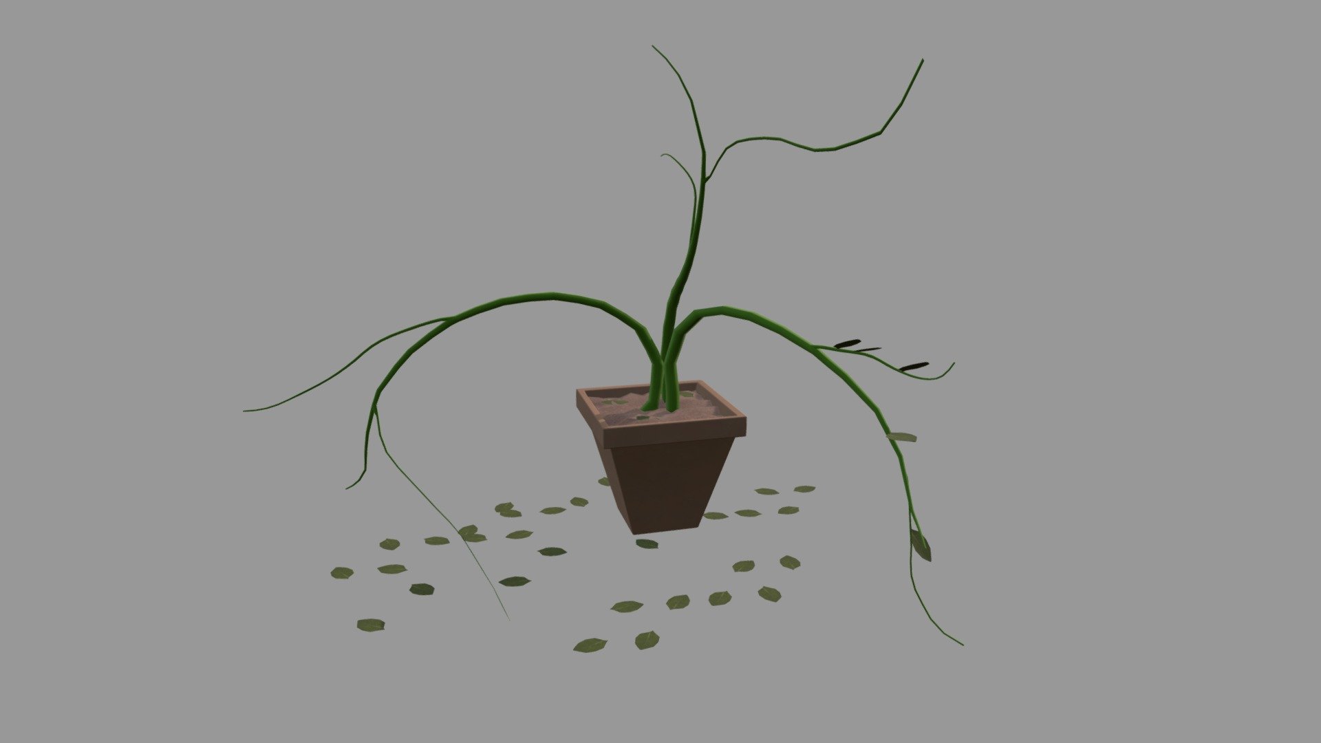 wk8_plant_bedoy_joey