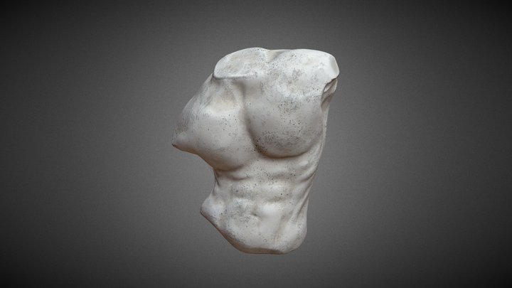 Anatomy study on the Gaddi Torso 3D Model