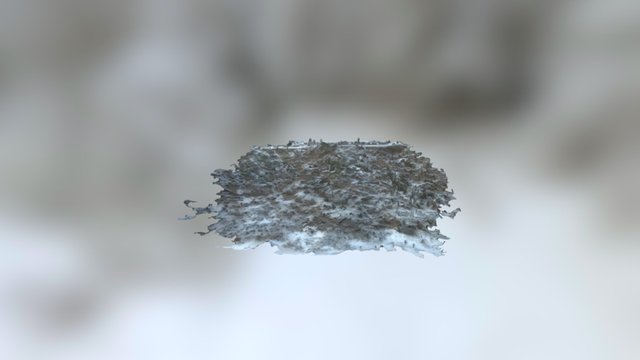 P. Giessel 3D Mesh 3D Model