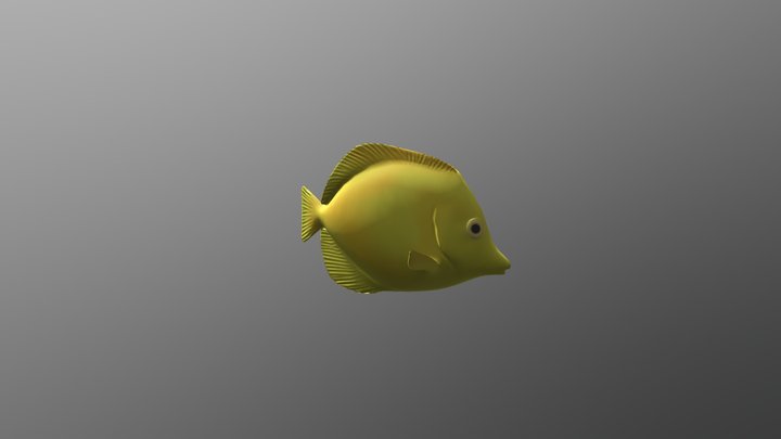 Yellow Tang 3D Model