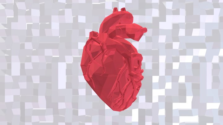 Heart 3D Model