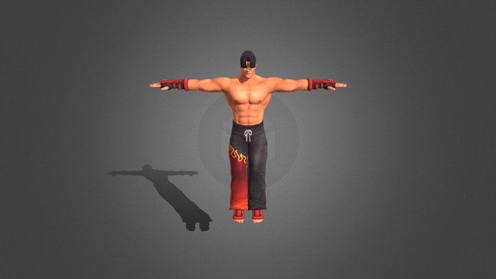 PlayStation 2 - Tekken Tag Tournament - Jin Kaza 3D Model