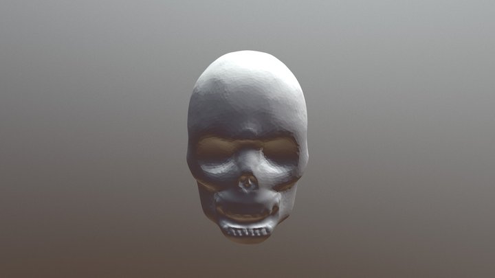 Crânio 3D Model