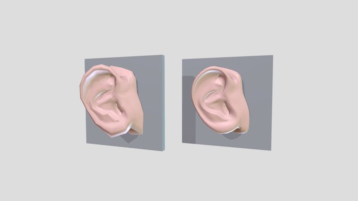 Ear - modelling practice 3D Model